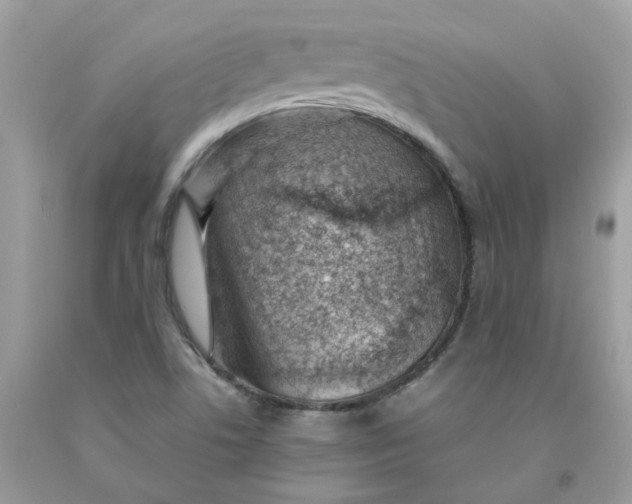 X0000091451506200709061723