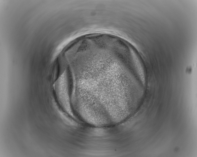 X0000091451507200709061723