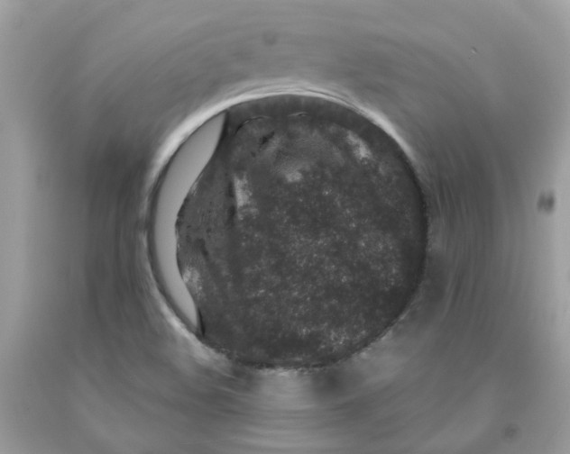 X0000091451508200709061723