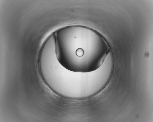 X0000091451510200709061723