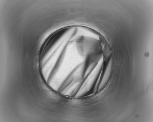 X0000091451511200709061723