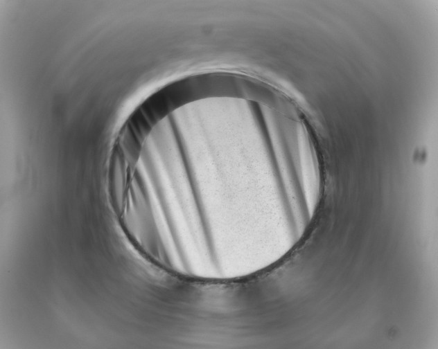 X0000091451512200709061723