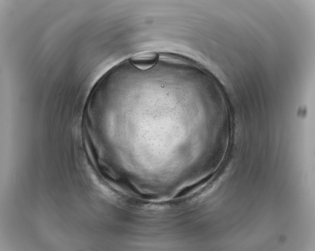 X0000091451513200709061723