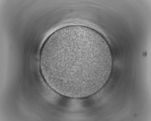 X0000091451514200709061723