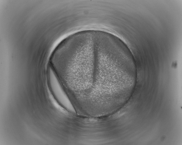 X0000091451515200709061723