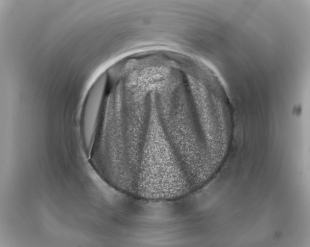 X0000091451516200709061723