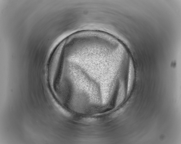 X0000091451517200709061723