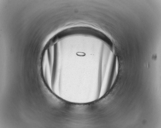 X0000091451518200709061723