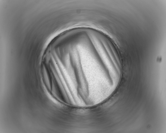 X0000091451519200709061723