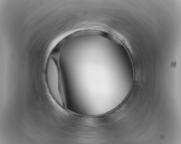 X0000091451520200709061723