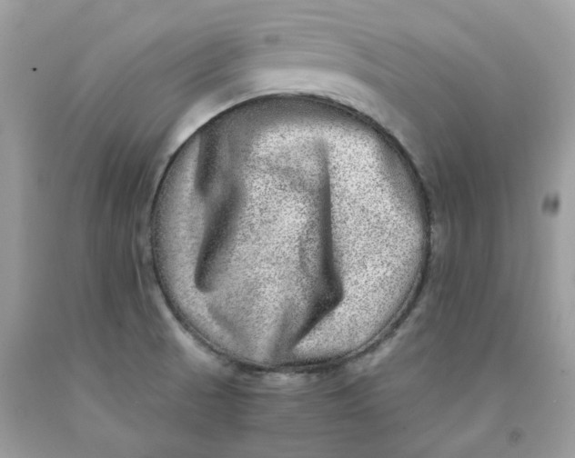 X0000091451521200709061724