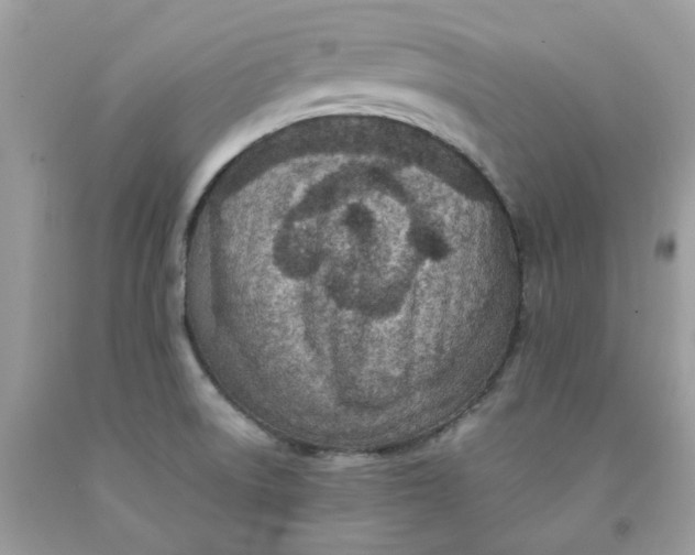 X0000091451522200709061724