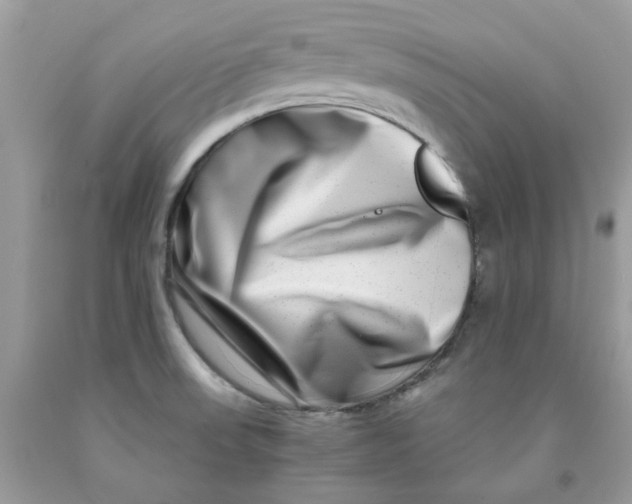 X0000091451523200709061724