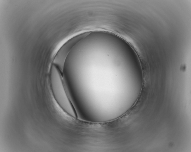 X0000091451524200709061724