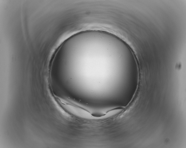 X0000091451525200709061724