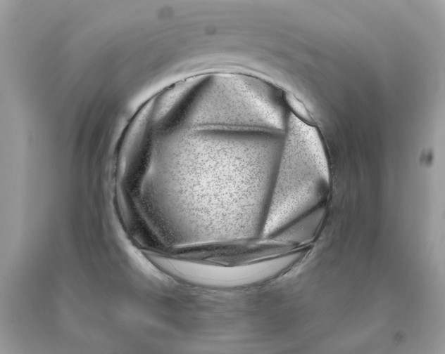 X0000091451526200709061724