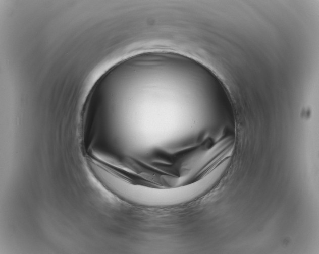 X0000091451527200709061724