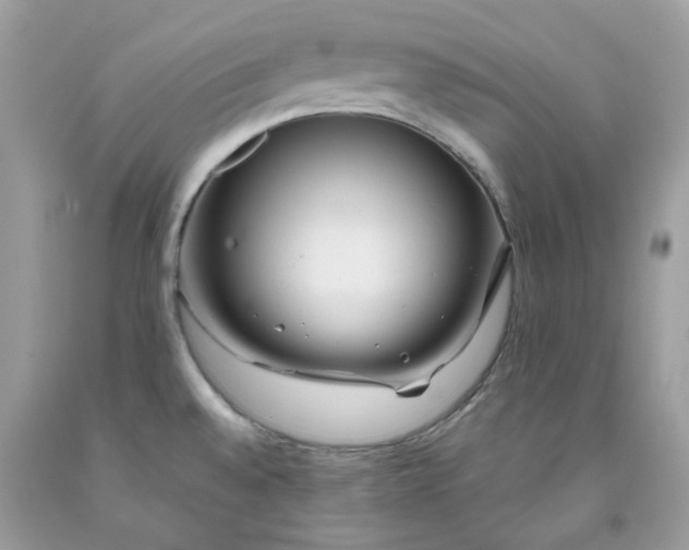 X0000091451528200709061724