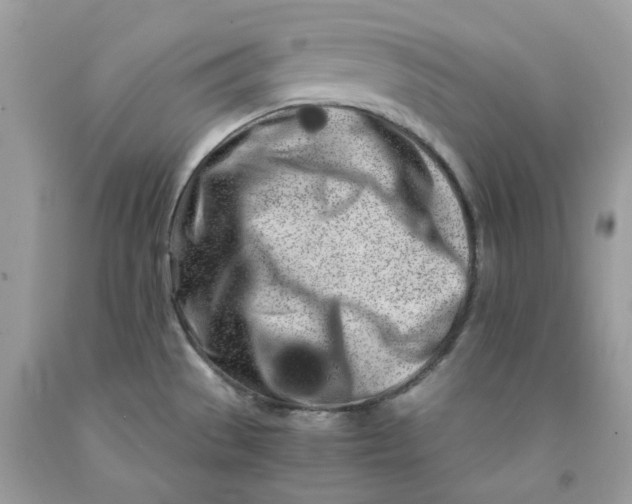 X0000091451529200709061724