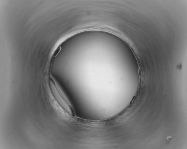 X0000091451530200709061724