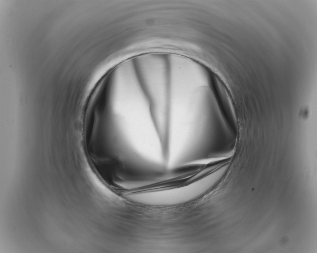 X0000091451531200709061724