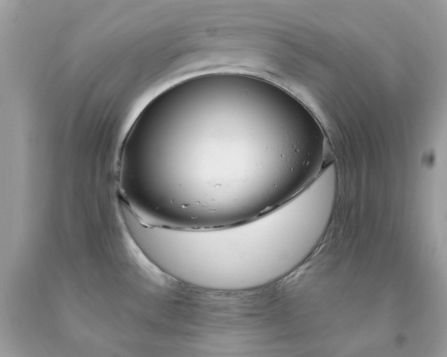 X0000091451532200709061724