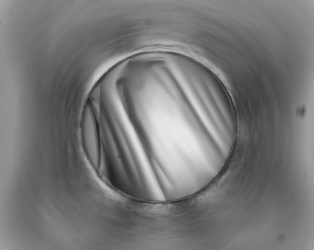 X0000091451533200709061724