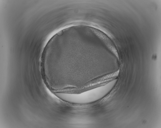 X0000091451535200709061724