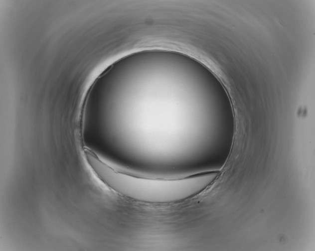 X0000091451536200709061724