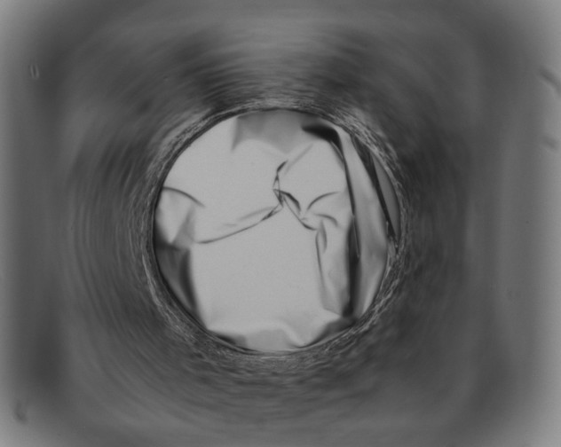 X0000091450001200709131724