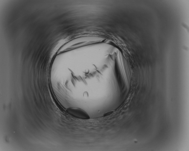 X0000091450003200709131724