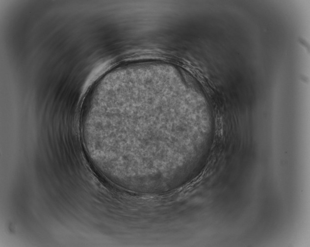 X0000091450004200709131724
