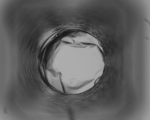 X0000091450005200709131724