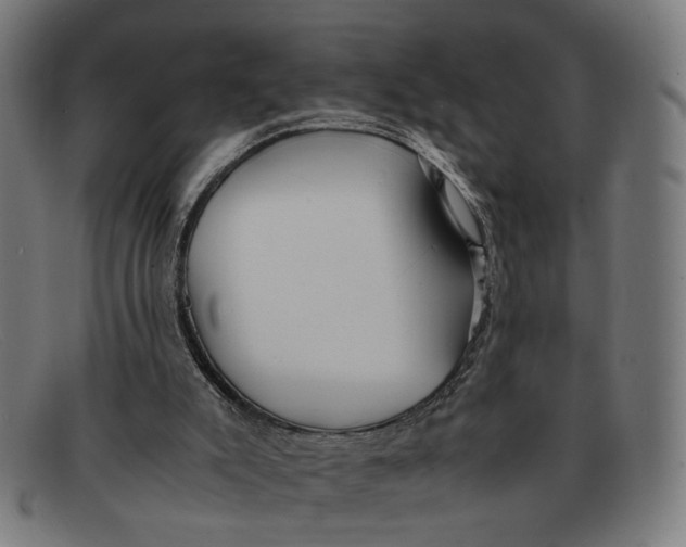 X0000091450007200709131723