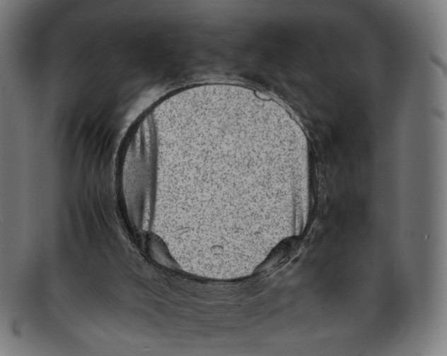 X0000091450008200709131723