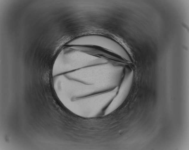 X0000091450010200709131723