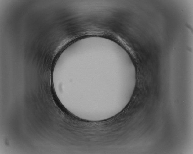 X0000091450011200709131723