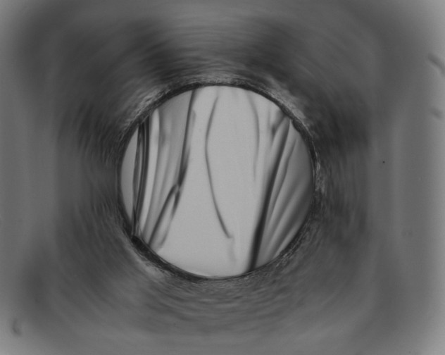 X0000091450013200709131723