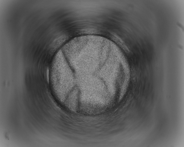 X0000091450014200709131723