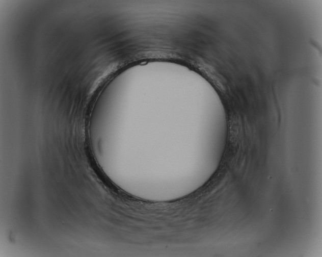 X0000091450015200709131723