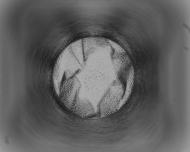 X0000091450018200709131723
