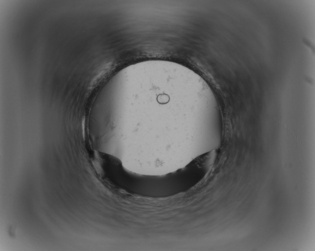 X0000091450019200709131723