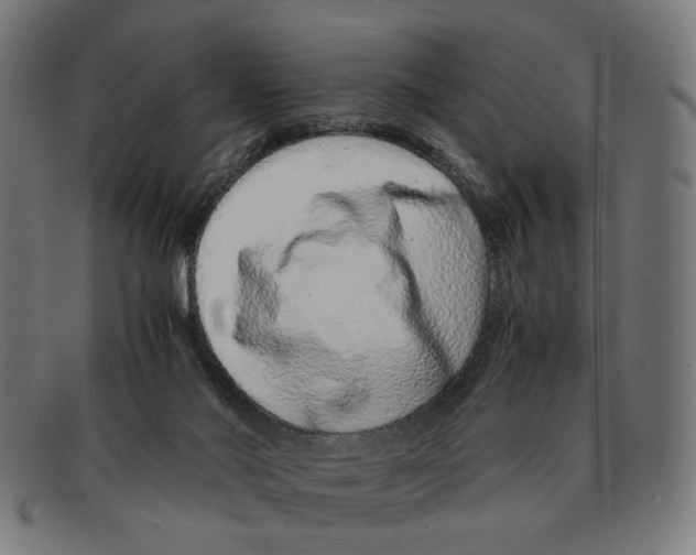 X0000091450022200709131723