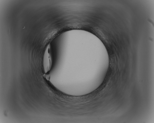 X0000091450023200709131723