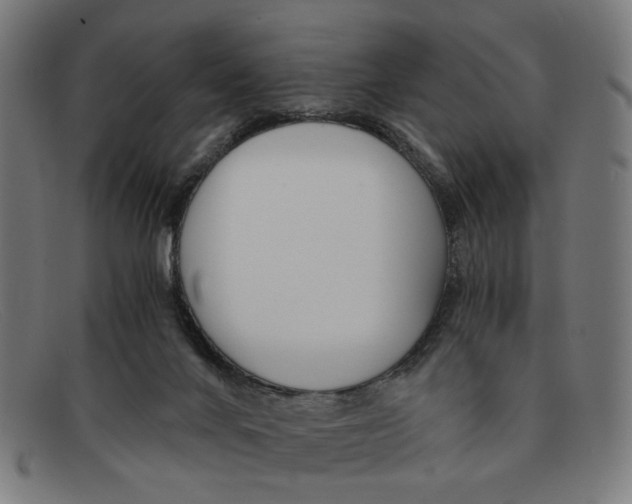 X0000091450024200709131723