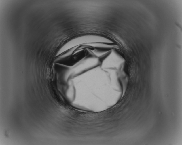X0000091450025200709131723