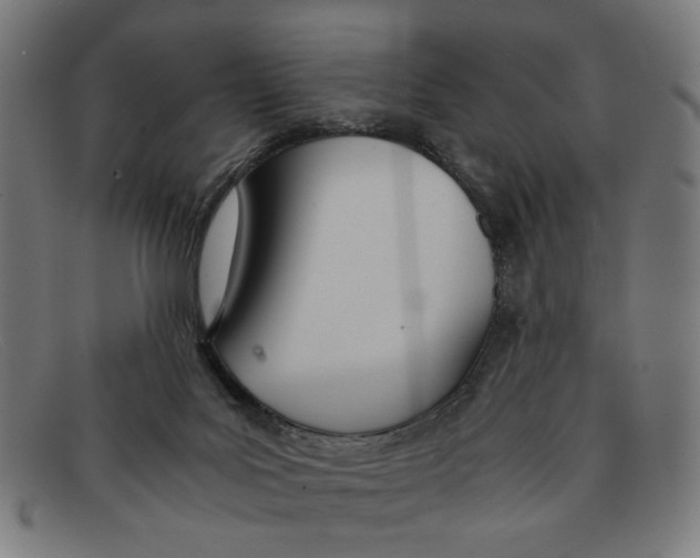 X0000091450027200709131723