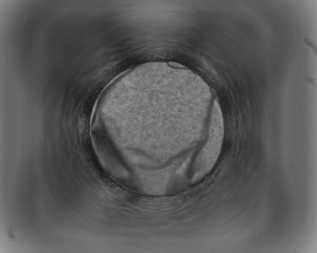 X0000091450029200709131723