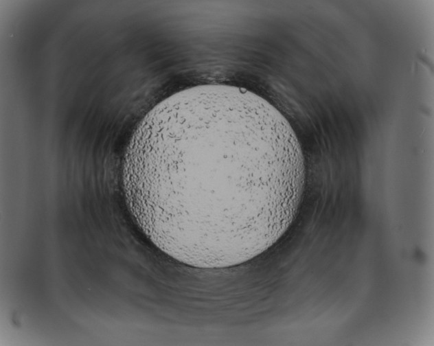 X0000091450030200709131723