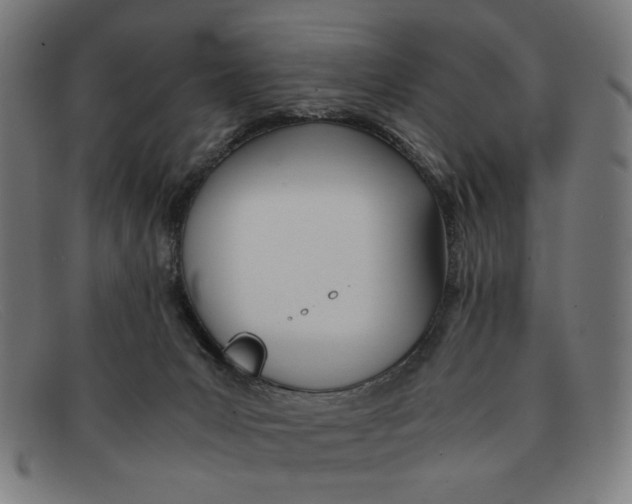 X0000091450031200709131723